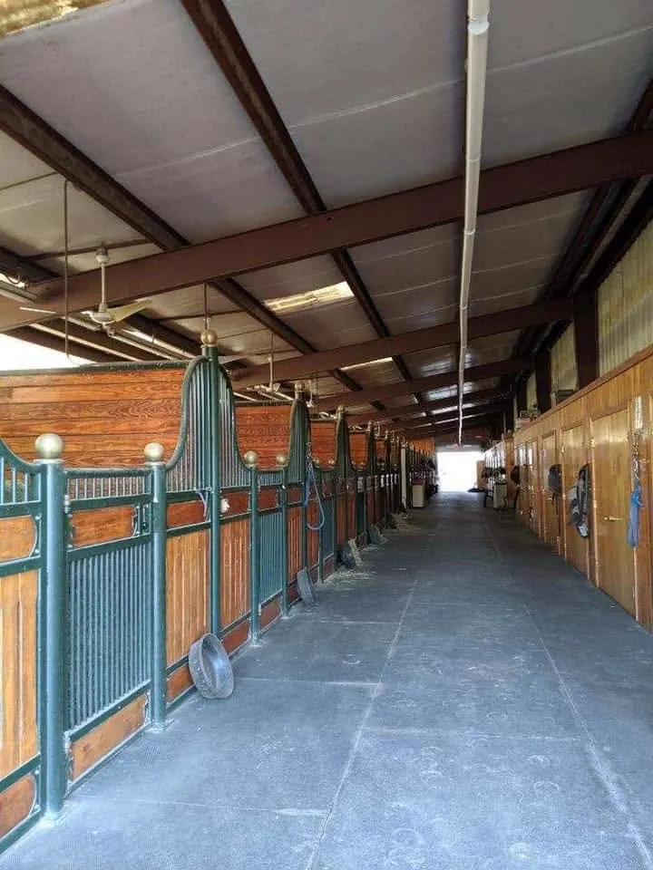 The Avastar barn aisle: European stall fronts with brass finials over a clean, rubber-matted aisle